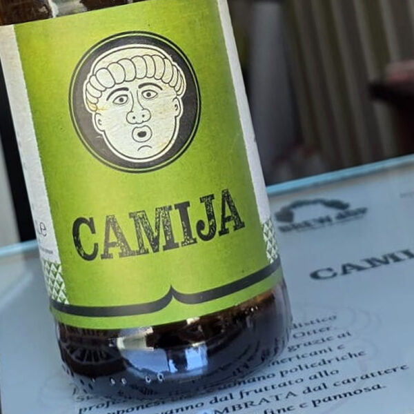 CAMIJA American IPA – Box 6×50 cl - immagine 2