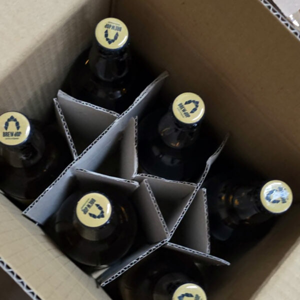 CAMIJA American IPA – Box 6×50 cl - immagine 3